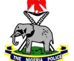 Nigeria Police Force - Image 2