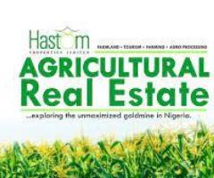 Hastom Nigeria - Image 2